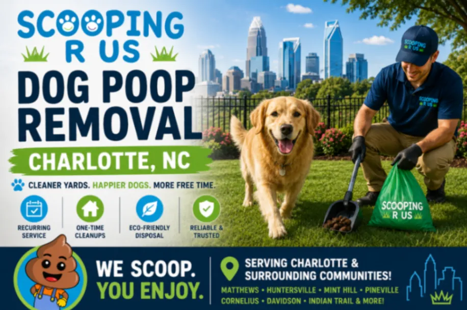Scooping R Us provides professional dog poop removal and pet waste cleanup in Charlotte, NC