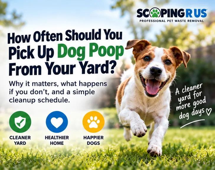 How Often Should You Pick Up Dog Poop
