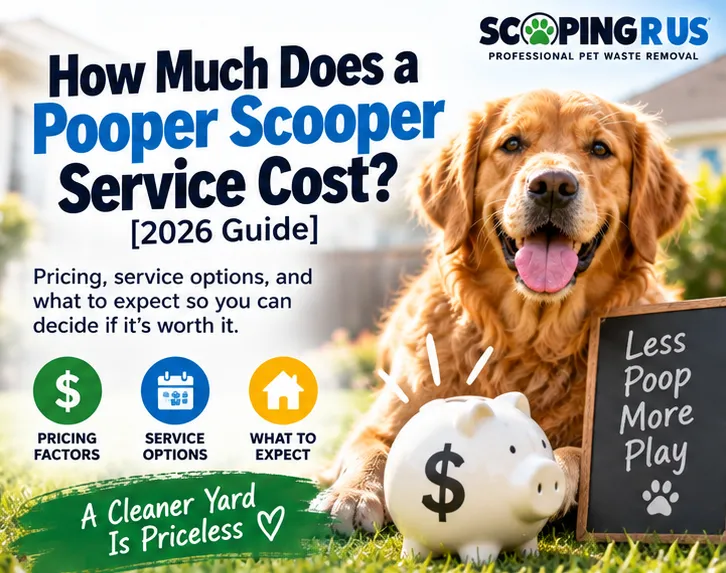 How Much Does a Pooper Scooper Service Cost?